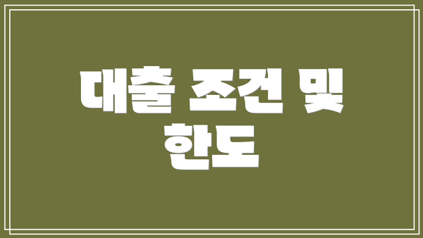 대출 조건 및 한도