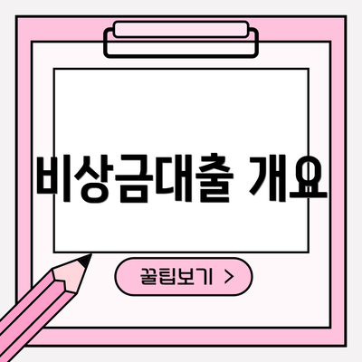 비상금대출 개요