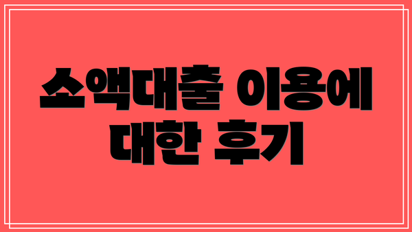 소액대출 이용에 대한 후기