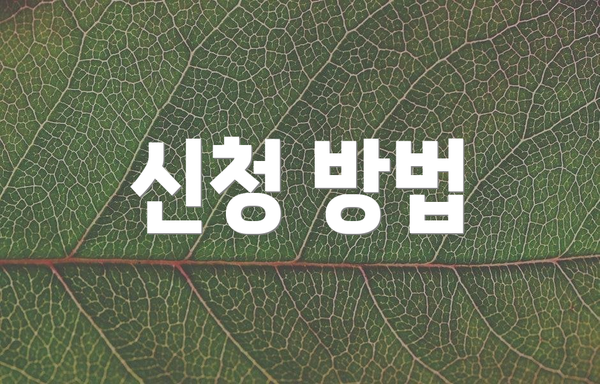 신청 방법