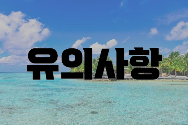 유의사항