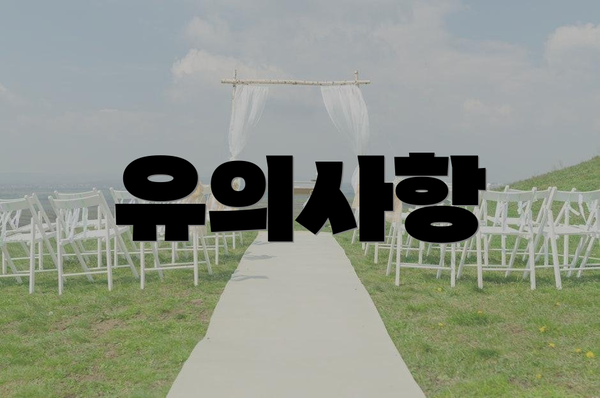 유의사항