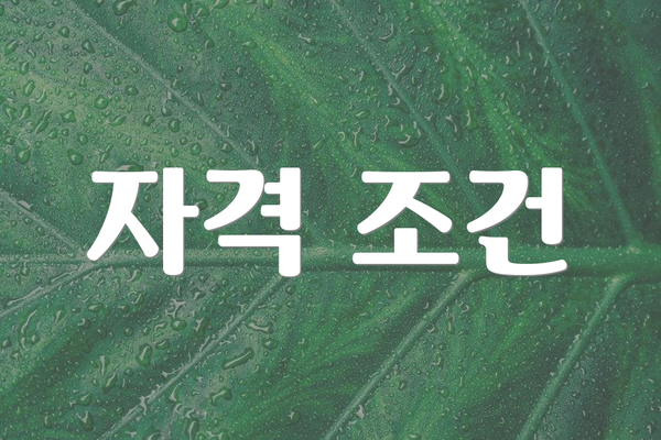 자격 조건