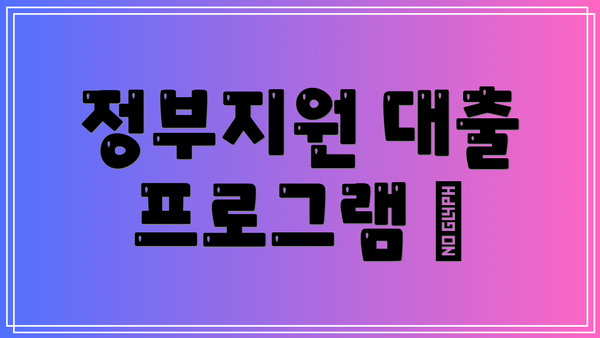 정부지원 대출 프로그램 🌟