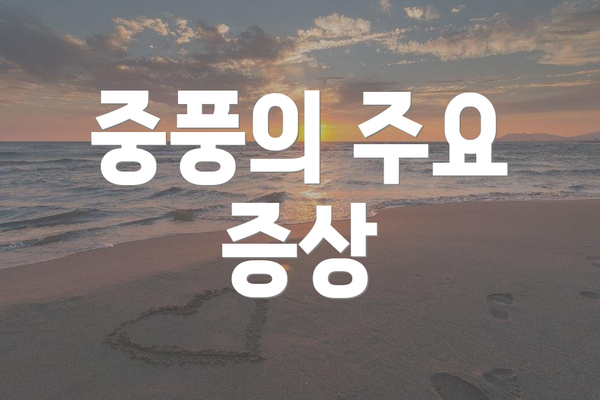 중풍의 주요 증상