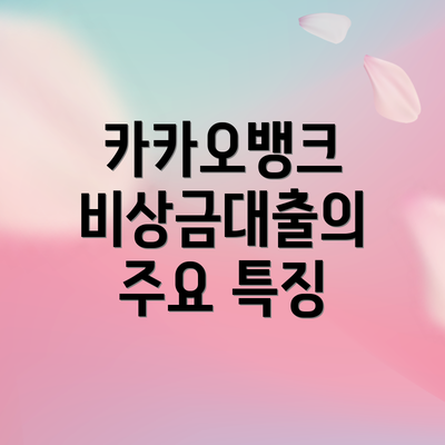카카오뱅크 비상금대출의 주요 특징