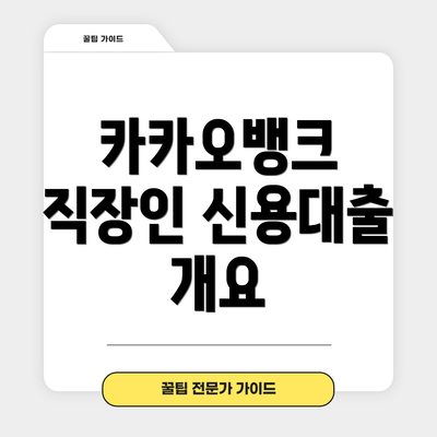 카카오뱅크 직장인 신용대출 개요