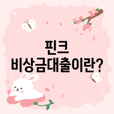 핀크 비상금대출이란?