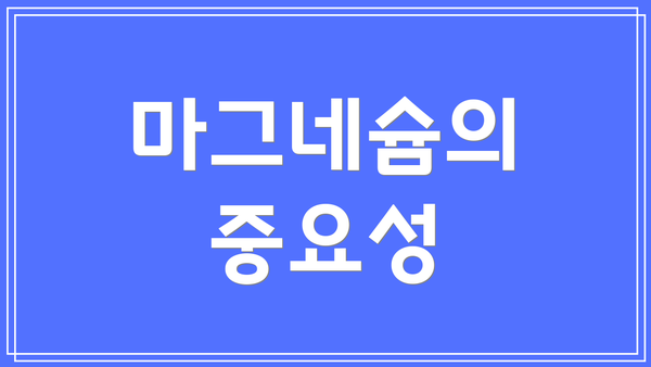 마그네슘의 중요성