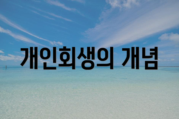 개인회생의 개념