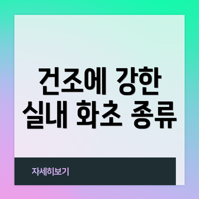 건조에 강한 실내 화초 종류