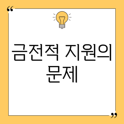 금전적 지원의 문제