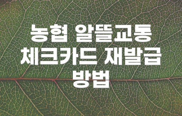 농협 알뜰교통 체크카드 재발급 방법