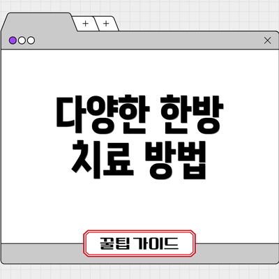 다양한 한방 치료 방법