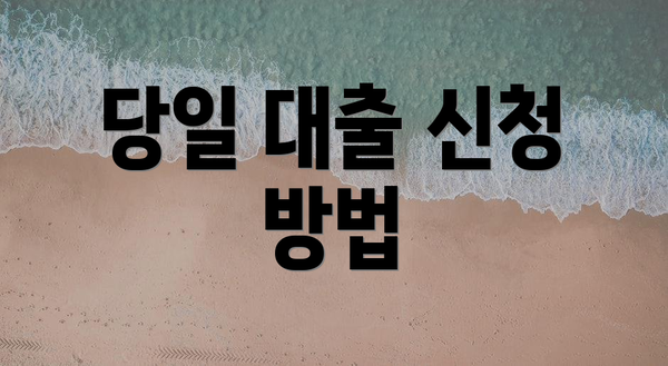 당일 대출 신청 방법