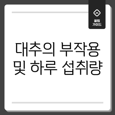 대추의 부작용 및 하루 섭취량