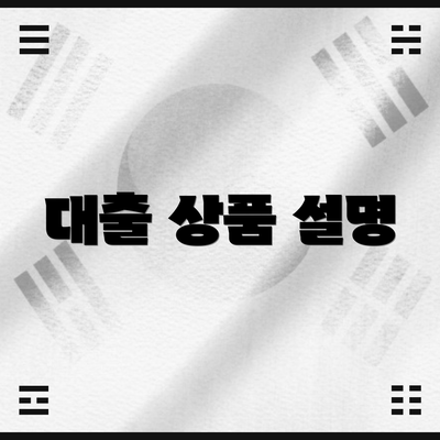 대출 상품 설명