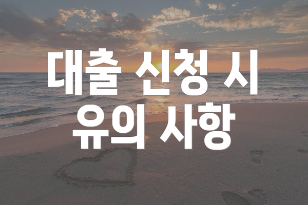 대출 신청 시 유의 사항