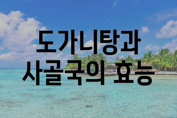 도가니탕과 사골국의 효능