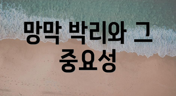 망막 박리와 그 중요성