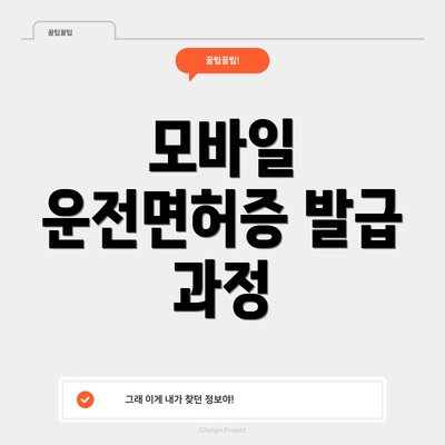 모바일 운전면허증 발급 과정