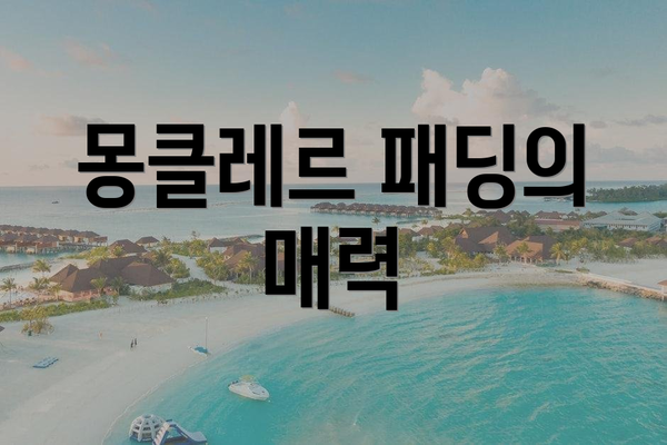 몽클레르 패딩의 매력