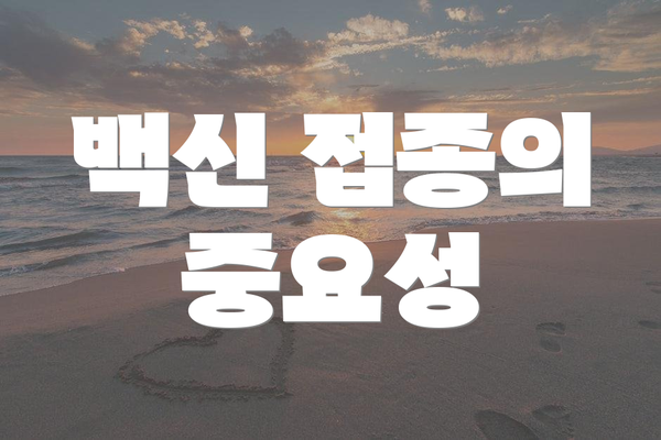 백신 접종의 중요성