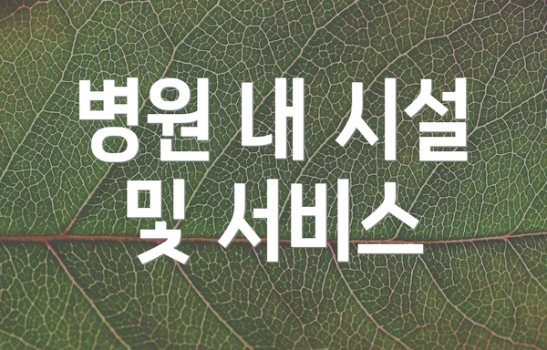 병원 내 시설 및 서비스