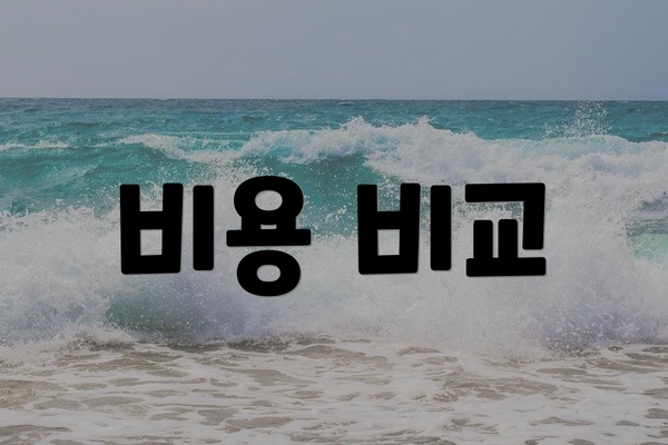 비용 비교