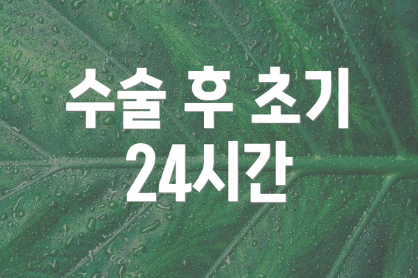 수술 후 초기 24시간
