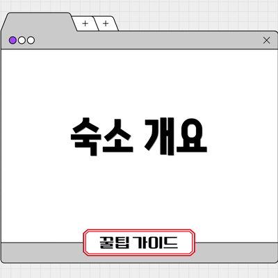 숙소 개요