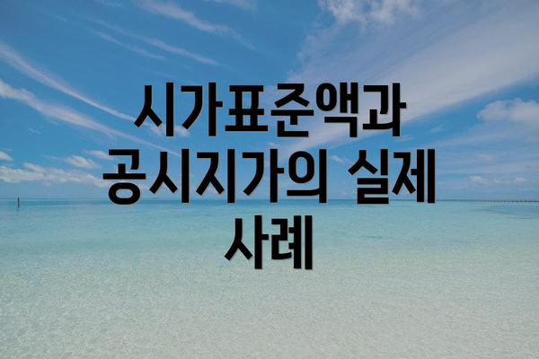 시가표준액과 공시지가의 실제 사례