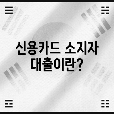신용카드 소지자 대출이란?