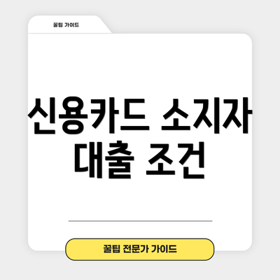 신용카드 소지자 대출 조건