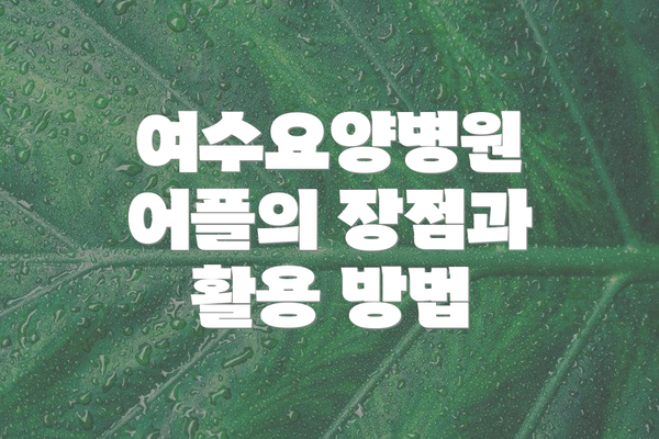 여수요양병원 어플의 장점과 활용 방법