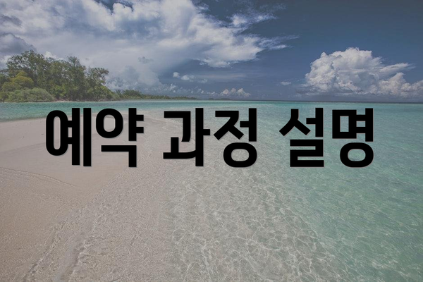 예약 과정 설명