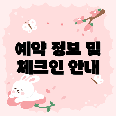 예약 정보 및 체크인 안내