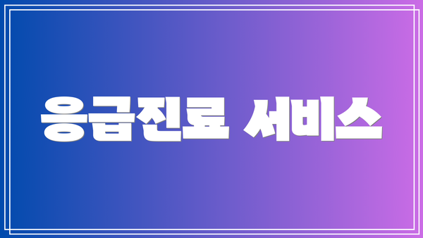 응급진료 서비스