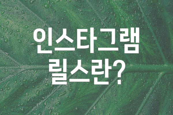 인스타그램 릴스란?