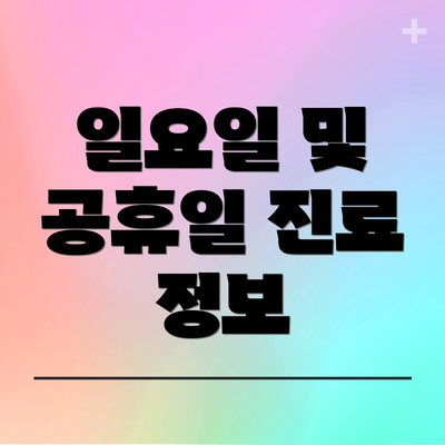 일요일 및 공휴일 진료 정보