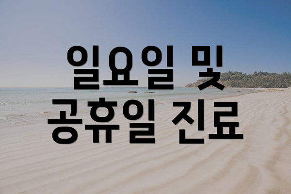 일요일 및 공휴일 진료