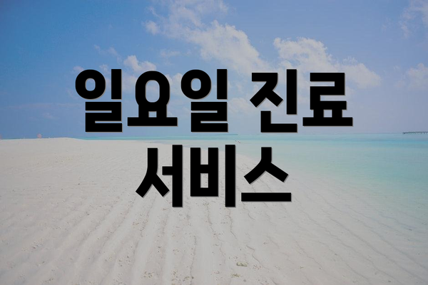 일요일 진료 서비스