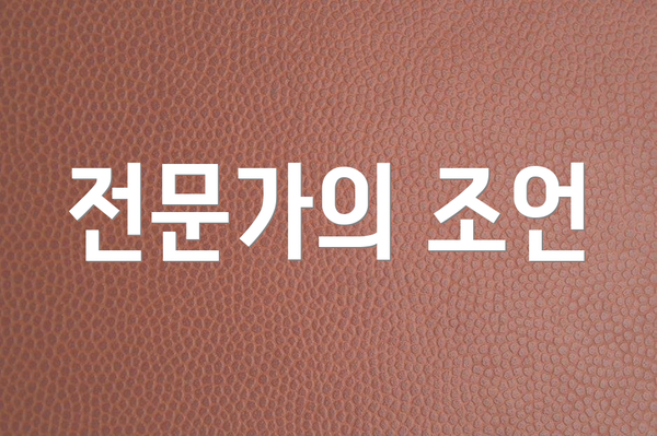 전문가의 조언