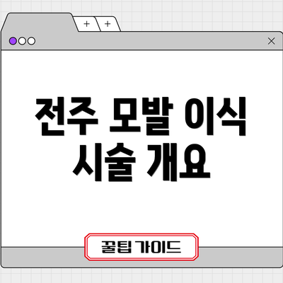 전주 모발 이식 시술 개요