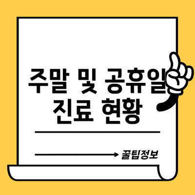 주말 및 공휴일 진료 현황