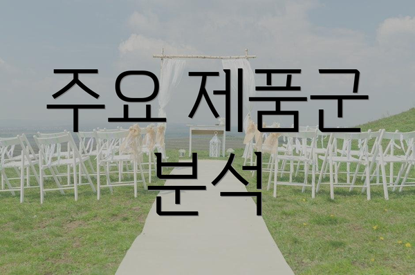 주요 제품군 분석