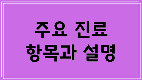 주요 진료 항목과 설명