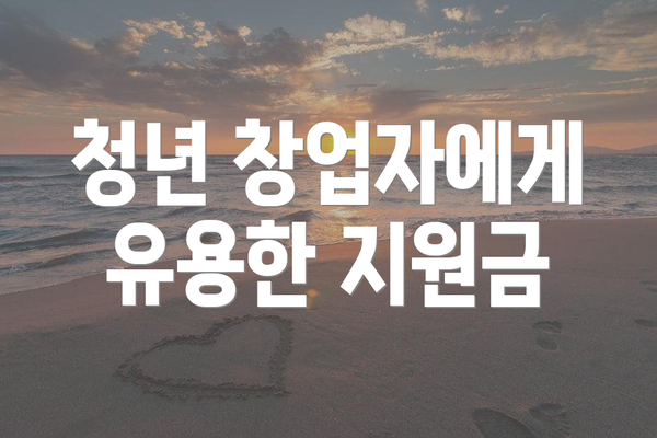 청년 창업자에게 유용한 지원금