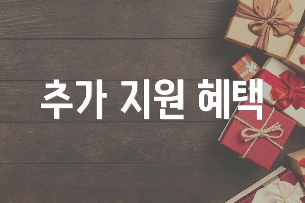 추가 지원 혜택