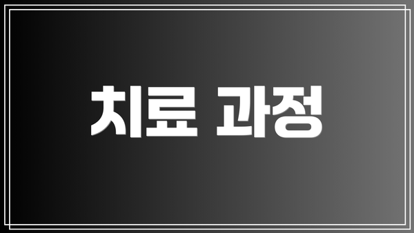 치료 과정